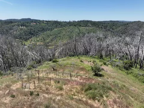 24920 Saddleback Ln, Colfax, CA 95713 photo 9