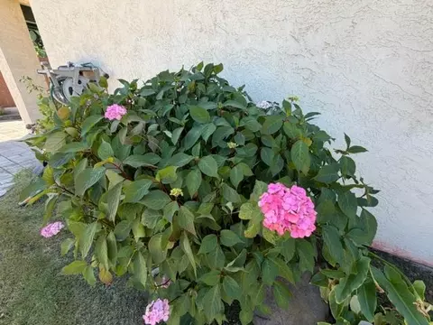 Exterior - 362 Garden Circle Dr, Manteca, CA 95336 photo 12 of 14