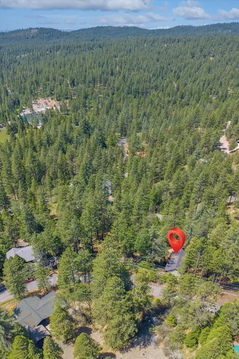 View/Area - 1884 Pine Cone Dr, Arnold, CA 95223 photo 1 of 6