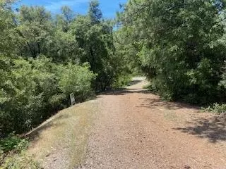 27880 Debbie Ct, Pioneer, CA 95666