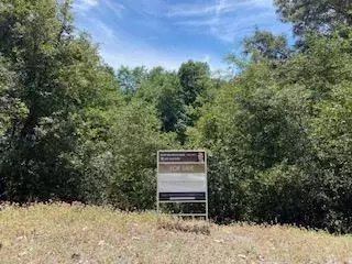 27880 Debbie Ct, Pioneer, CA 95666