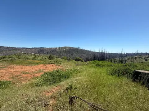 10340 Grizzly Flat Rd, Grizzly Flats, CA 95636