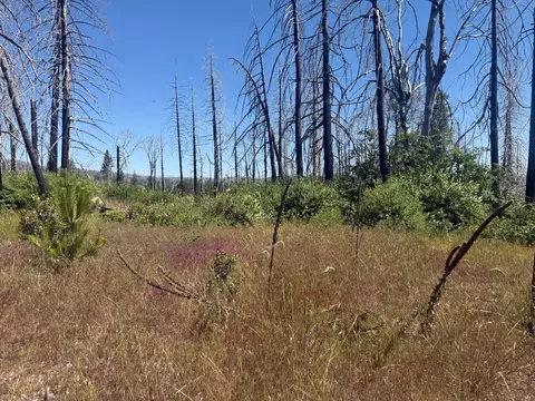 7350 S View Dr, Grizzly Flats, CA 95636