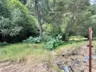 0 Murraydale, San Andreas, CA 95249 photo 6