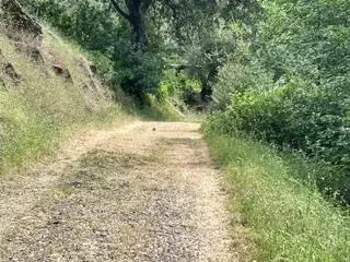 0 Murraydale, San Andreas, CA 95249 photo 4