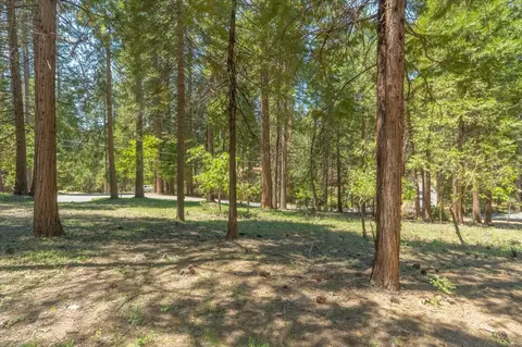 1621 Rawhide Dr, Arnold, CA 95223
