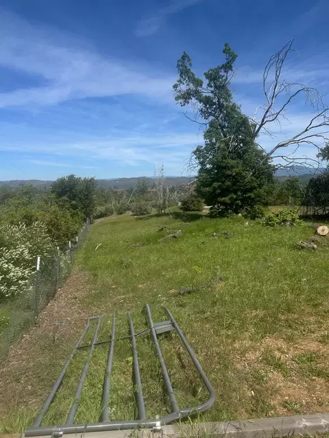 7256 Nikki, Mountain Ranch, CA 95246