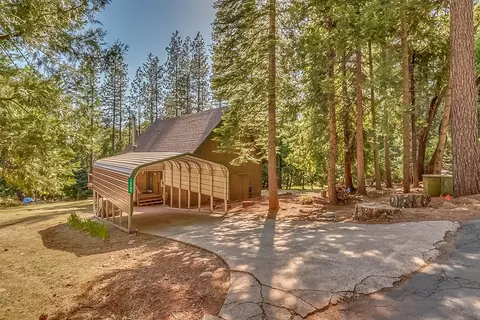16795 Barton Ct, Pioneer, CA 95666