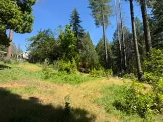 6433 Peg Leg Mine Rd, Georgetown, CA 95634 photo 4