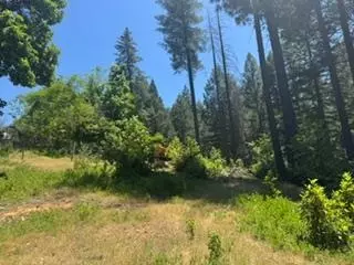 6433 Peg Leg Mine Rd, Georgetown, CA 95634 photo 8