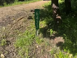 6433 Peg Leg Mine Rd, Georgetown, CA 95634 photo 3