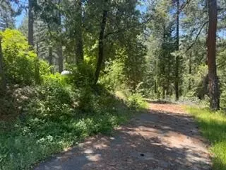 6433 Peg Leg Mine Rd, Georgetown, CA 95634 photo 6
