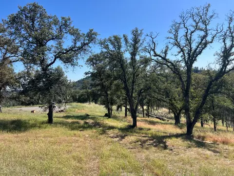 21 Strongbox Ct, Browns Valley, CA 95918