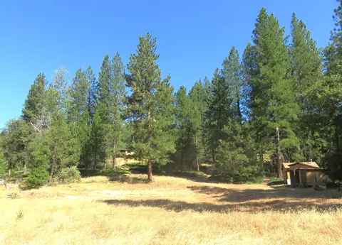 4426 Bald Mountain Rd, West Point, CA 95255