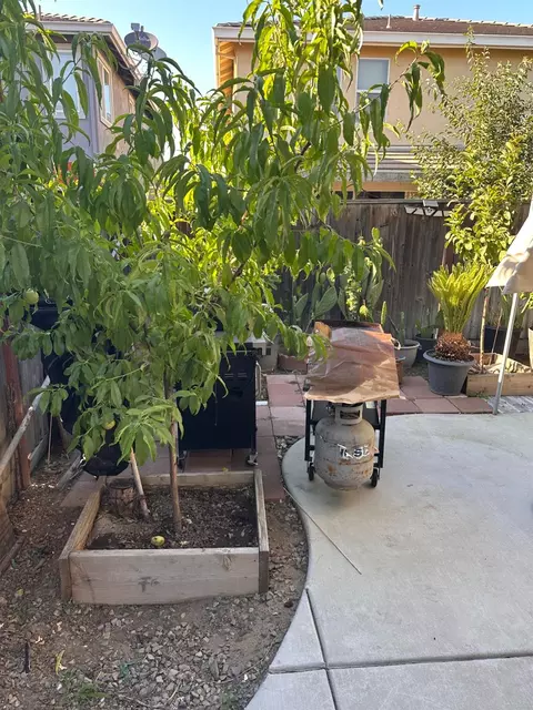 Exterior - 3655 Fallview Ave, Ceres, CA 95307 photo 5 of 5
