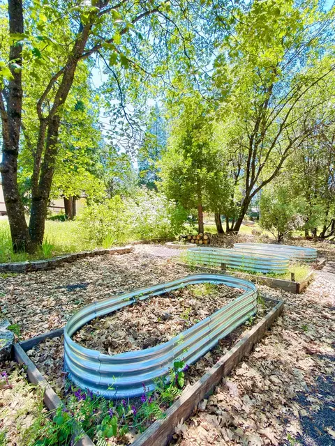 View/Area - 3887 Northwood Dr, Murphys, CA 95247 photo 1 of 1