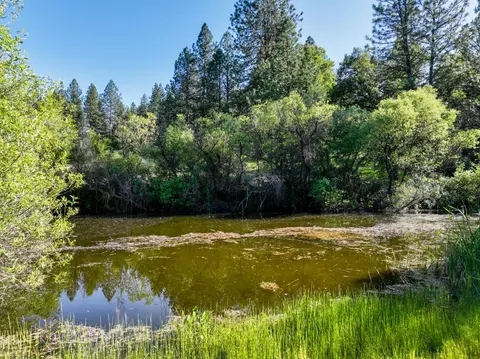 13194 Kentucky Flat Rd, Nevada City, CA 95959