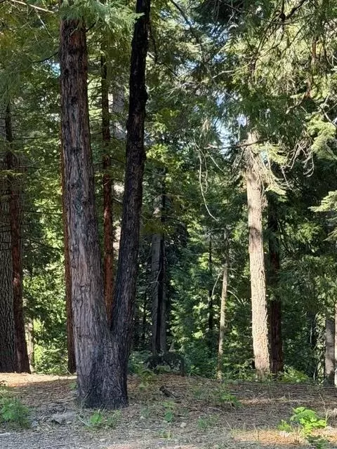 1619 Shoshone, Dorrington, CA 95223 photo 4