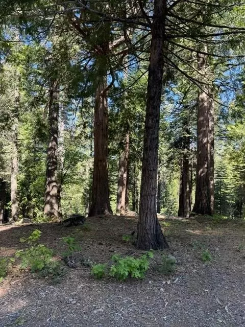 1619 Shoshone, Dorrington, CA 95223 photo 7