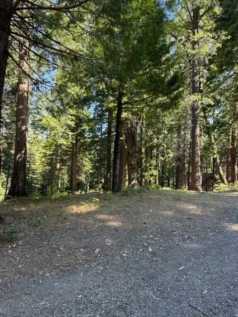 1619 Shoshone, Dorrington, CA 95223 photo 6