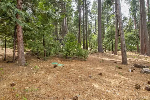 2347 Karock Rd, Dorrington, CA 95223 photo 49