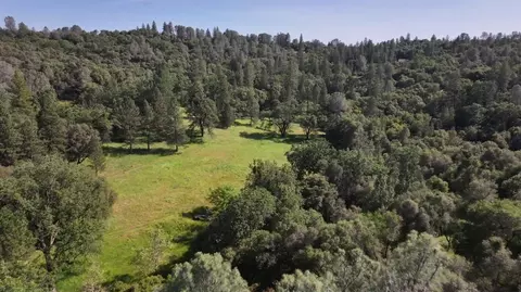 3220 Dawn Rose Ln, Placerville, CA 95667 photo 15