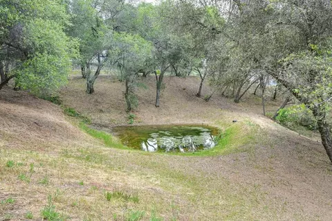 Exterior - 4860 Silk Tree Ln, Cool, CA 95614 photo 29 of 32