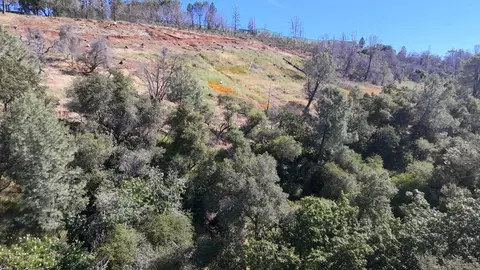1687 Duden Dr, Placerville, CA 95667 photo 15