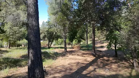 1687 Duden Dr, Placerville, CA 95667 photo 14