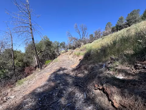 1687 Duden Dr, Placerville, CA 95667 photo 10