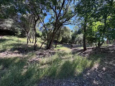 1687 Duden Dr, Placerville, CA 95667 photo 11