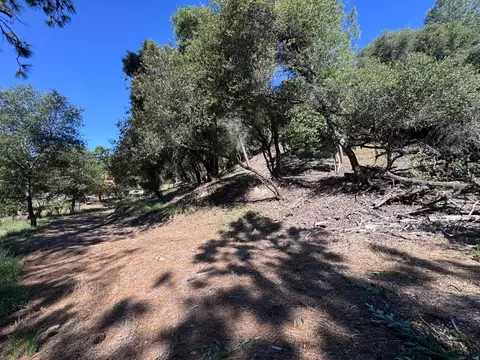 1687 Duden Dr, Placerville, CA 95667 photo 12