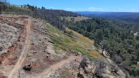 1687 Duden Dr, Placerville, CA 95667 photo 2