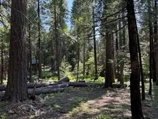 216 Mewko Way, Camp Connell, CA 95223