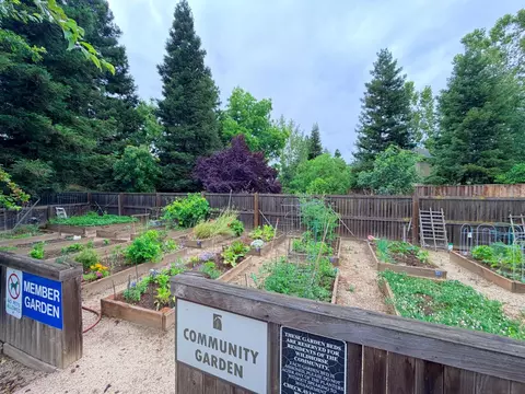 1818 Moore Blvd #248, Davis, CA 95618 photo 34