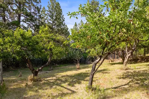 Exterior - 9340 Mosquito Rd, Placerville, CA 95667 photo 14 of 37