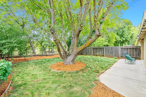 Exterior - 1131 Halifax Ave, Davis, CA 95616 photo 5 of 12