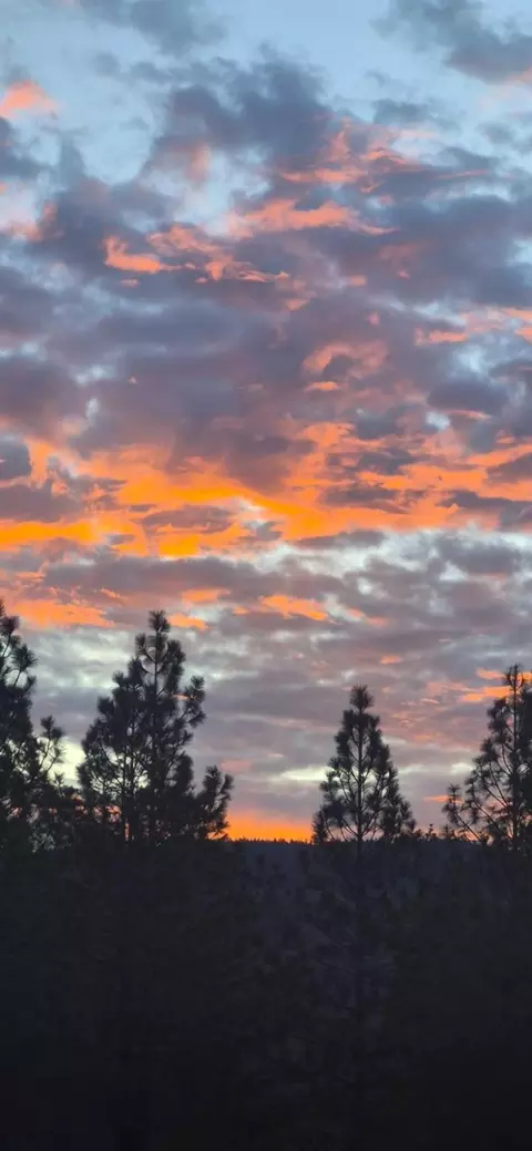 Other - 12336 Scott Rd, Sheep Ranch, CA 95246 photo 24 of 27