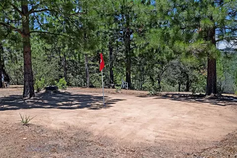 Exterior - 12336 Scott Rd, Sheep Ranch, CA 95246 photo 4 of 11