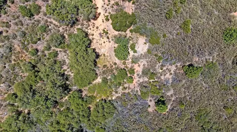 View/Area - 12336 Scott Rd, Sheep Ranch, CA 95246 photo 8 of 9