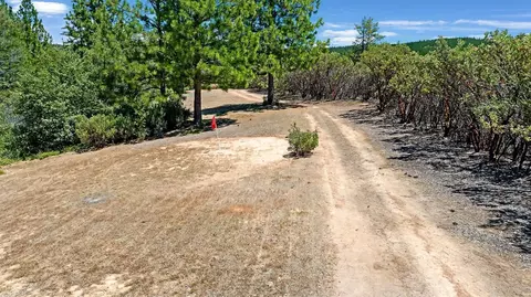 Other - 12336 Scott Rd, Sheep Ranch, CA 95246 photo 12 of 27