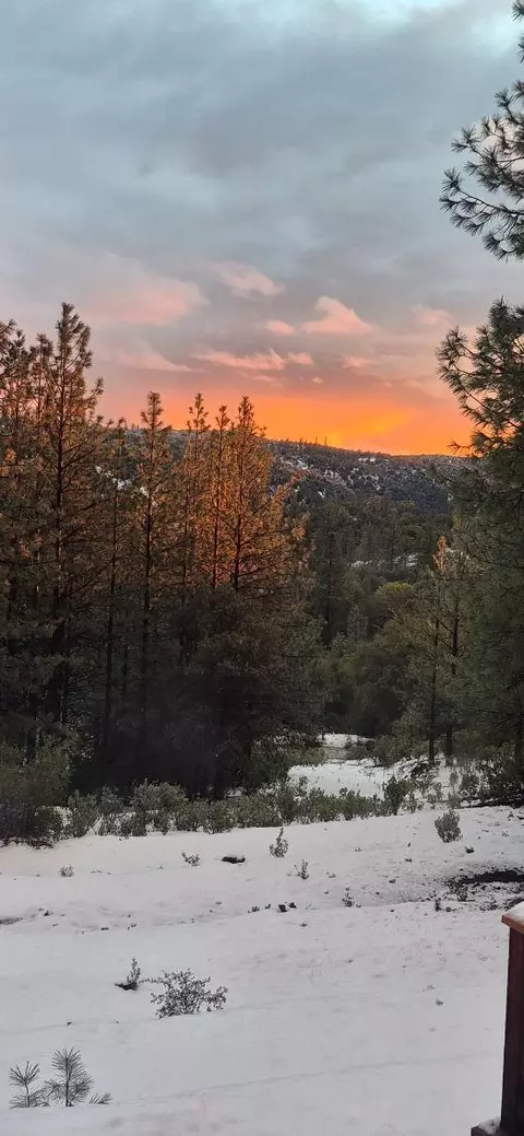 Other - 12336 Scott Rd, Sheep Ranch, CA 95246 photo 18 of 27