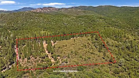 Other - 12336 Scott Rd, Sheep Ranch, CA 95246 photo 13 of 27
