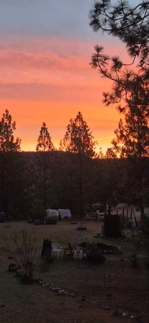 Other - 12336 Scott Rd, Sheep Ranch, CA 95246 photo 25 of 27