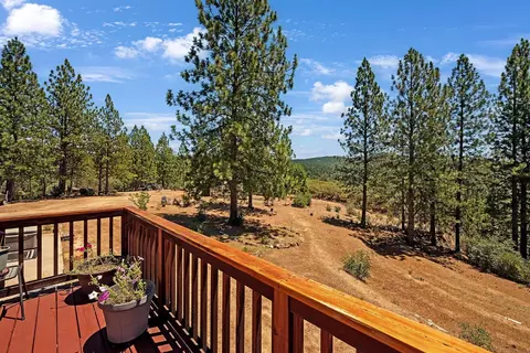Exterior - 12336 Scott Rd, Sheep Ranch, CA 95246 photo 9 of 11