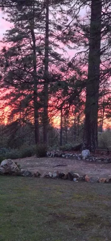 Other - 12336 Scott Rd, Sheep Ranch, CA 95246 photo 23 of 27