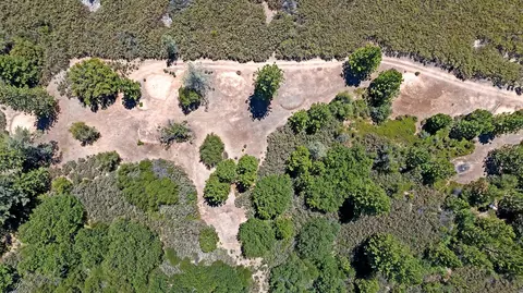 View/Area - 12336 Scott Rd, Sheep Ranch, CA 95246 photo 1 of 9