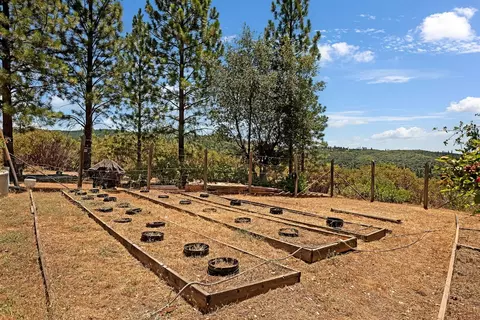 Exterior - 12336 Scott Rd, Sheep Ranch, CA 95246 photo 5 of 11