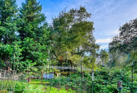 Exterior - 10016 E Lime Kiln Rd, Grass Valley, CA 95949 photo 8 of 8