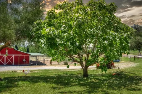 Exterior - 3397 Ahwahnee Way, Cool, CA 95614 photo 2 of 17